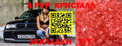 прущие грибы Краснознаменск